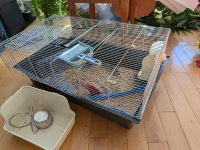Hamster/rat/guinea pig cage with accessories , View more