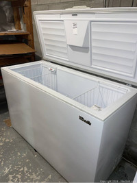 Refrigerator and Deep Freeze in Excellent Condition on auction