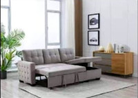 Sofa convertible Bed (Price: 500$)