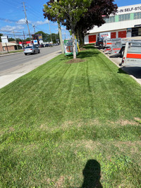 MELILLO’S Lawn Care & Landscaping 