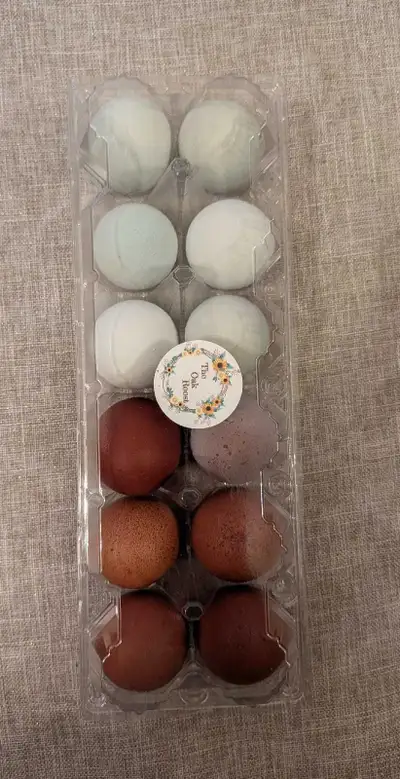 Hatching eggs - Mixed Dozen , View more