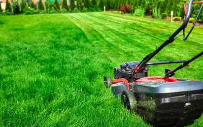 Barrhaven Lawn Mowing, View more