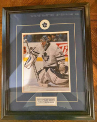 Curtis Joseph Toronto Maple Leafs Hockey Collector Frame 19”x16"