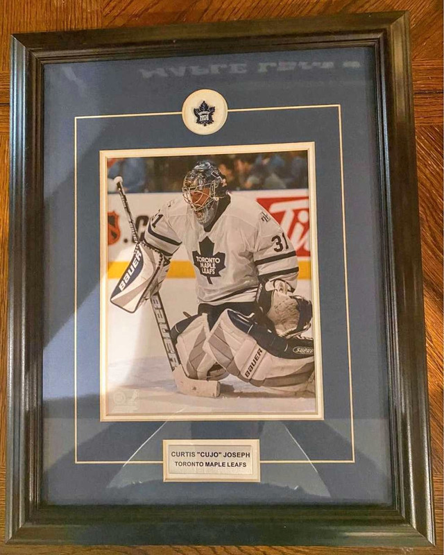 Curtis Joseph Toronto Maple Leafs Hockey Collector Frame 19”x16" in Arts & Collectibles in Hamilton