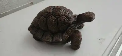 Clay turtle "piggy bank", View more