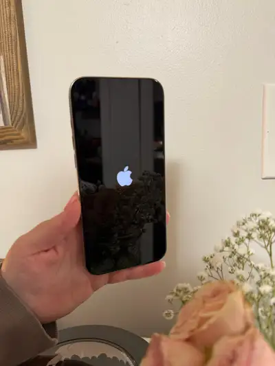 iPhone 16 Pro Max, View more