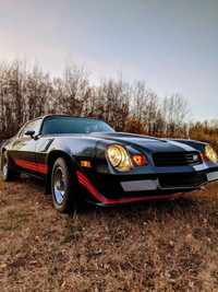 1980 Camaro Z28 