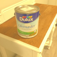 Dulux paint primer