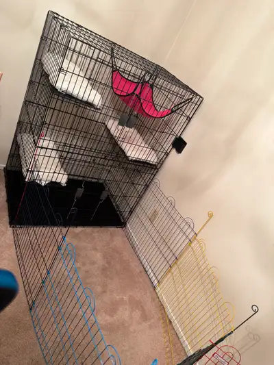 Collapsible Cat Playpen. 48” H x 35” L x 23” W. Purchased approximately 2 months ago but didn’t end...