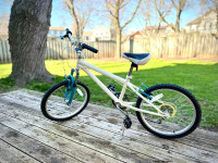 Junior 20” 6-Speed BIKE - Excellent Condition