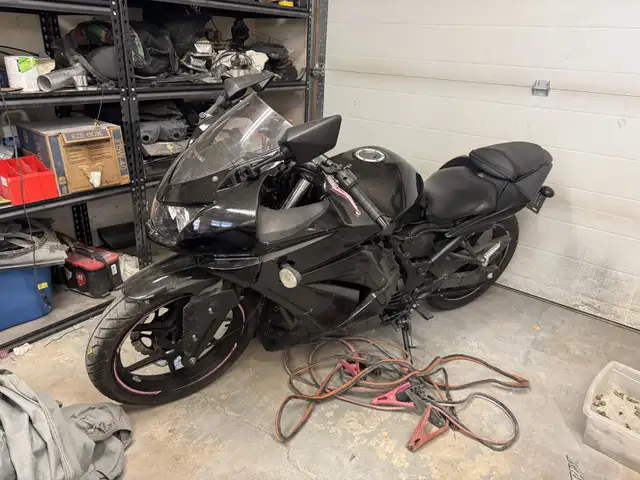 2009 Ninja 250 in Sport Bikes in Calgary - Image 2