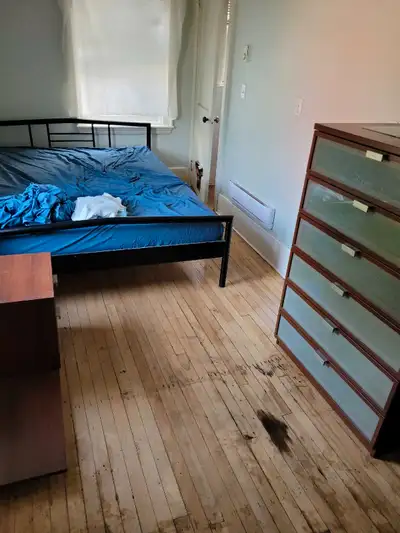 Room  for rent