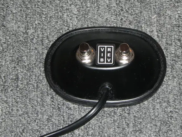 Fender Princeton Reverb 1964 clone in Amps & Pedals in City of Montréal - Image 8