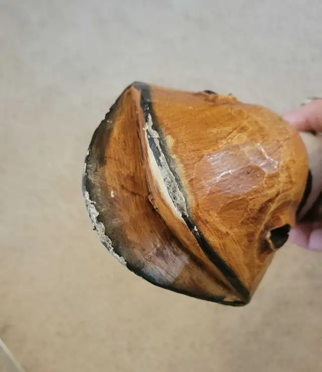 39"H x 8"W Zebra Wall Decor Mask Hand Made in Bali. in Home Décor & Accents in Red Deer - Image 8