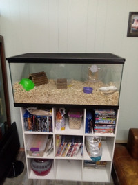 Rehoming hamster with enclosure