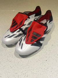 Adidas Predator soccer shoes 