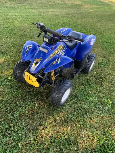 2-stroke engine with oil injection. Has electric start. Kids have out grown.