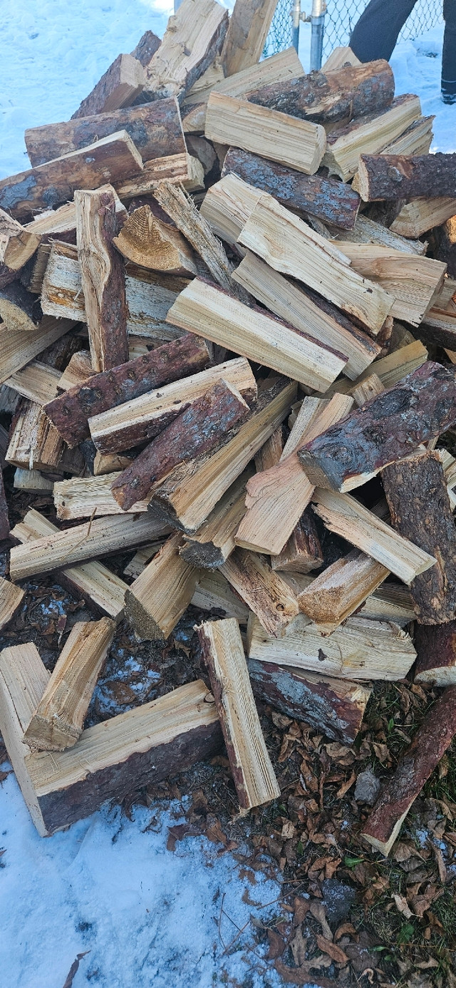 Firewood for sale Tamrack  in Fireplace & Firewood in Winnipeg - Image 2