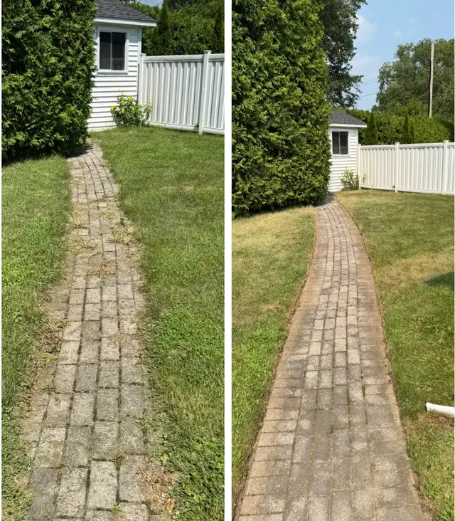Landscaping & Hedge trimming in Lawn, Tree Maintenance & Eavestrough in Ottawa - Image 5