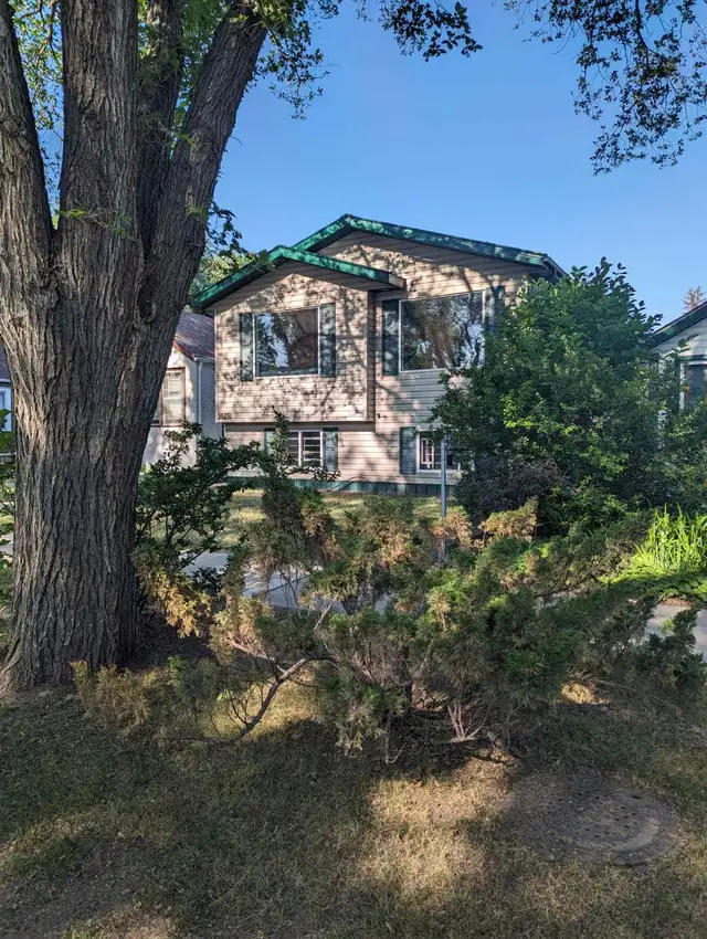 Bright, spacious, fully renovated 3-bedroom in Caswell Hill | Long Term ...