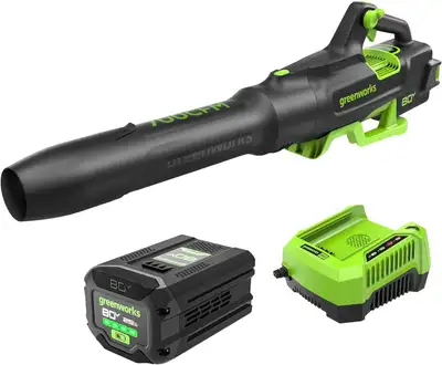 Powerful Performance: Boasts an 80V motor that provides powerful air volume up to 700 CFM, ensuring...