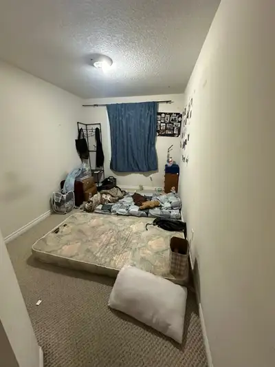 room for rent for girl