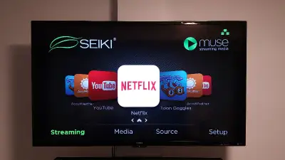 Seiki TV Repair, LCD TV, LED TV, No Power, No Picture, No Sound., View more