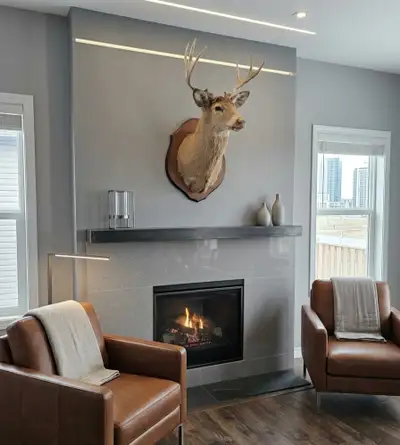 white tail deer head - taxidermy , View more
