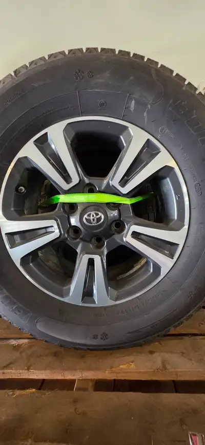 265 65 R17 winter tires balanced with tps sensors. Rims are mint off of a 2017 toyota tacoma sport