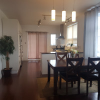 Fully Furnished, Spacious&Lovely Two Bedroom Apt with Fireplace