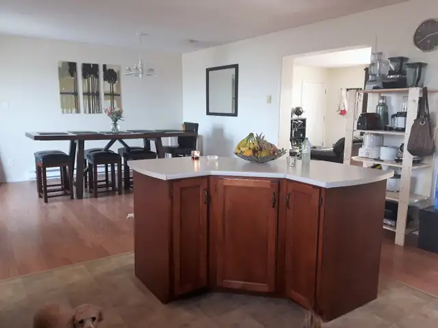 Beautiful Apartment