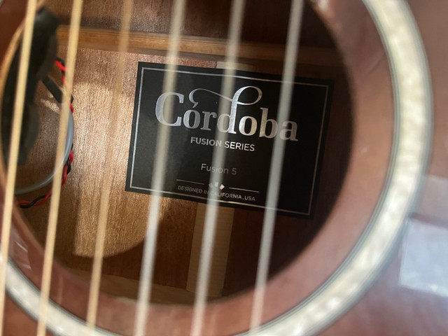 Cordoba Guitar  in Guitars in Banff / Canmore