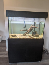 Aquarium complet 65 gallons (36L/18P/25H)