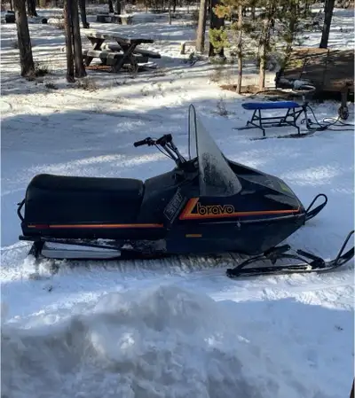 Looking to buy a track for our 1985 Bravo.