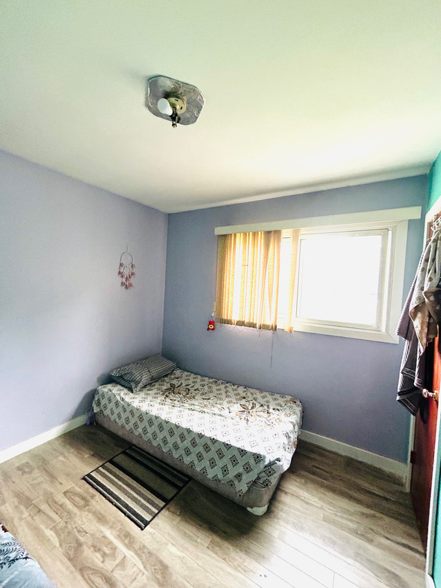 Sharing room available for girl near algoma university in Room Rentals & Roommates in Sault Ste. Marie - Image 3