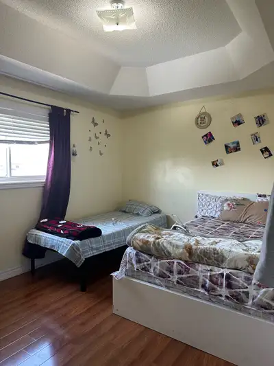 Room available for rent
