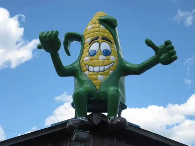 Animaux en résine grandeur nature (vache, cheval, poney)   in Livestock in St-Georges-de-Beauce - Image 6