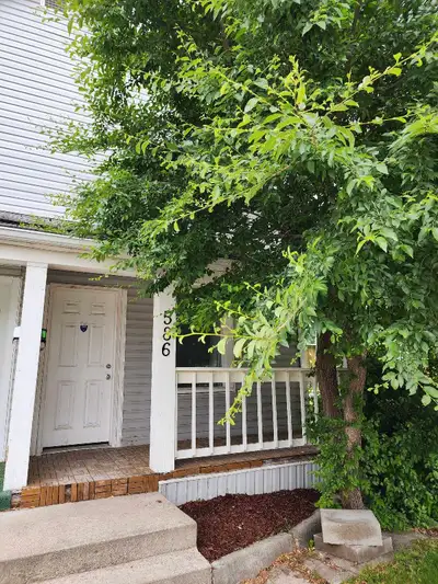 Renovated & Pet-Friendly 1 Bed + Den in East Elmwood!