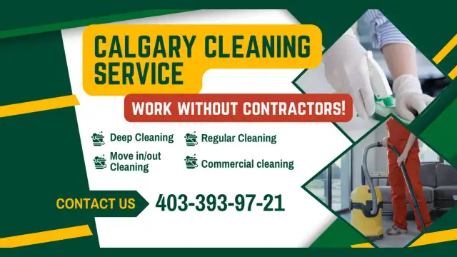 Regular/Deep Home and Apartment Cleaning628637205442591217