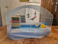 cage et moineau japon