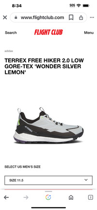  Brand new Adidas Terrex free hiker 2 low GT Gortex  