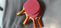 Table Tennis Gold Cup Bat