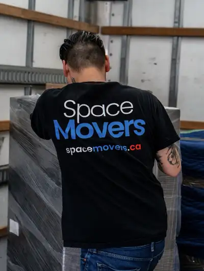 ✅ PROFESSIONAL MOVERS: professional, reliable, efficient ✅, View more