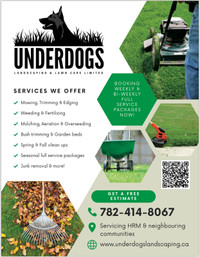 Lawn Care needs & more