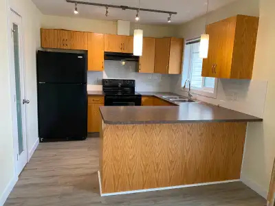 Townhouse 1400 sq.ft. for rent in end of Feb. Located in MacTaggart of SouthWest (Riverbend) Edmonto...