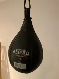 Boxing bag