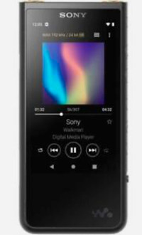 Sony Walkman NW-507 64GB support streaming services