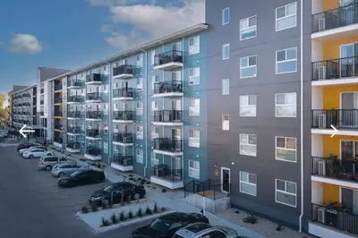 1 bedroom apartment for sublease. pet friendly