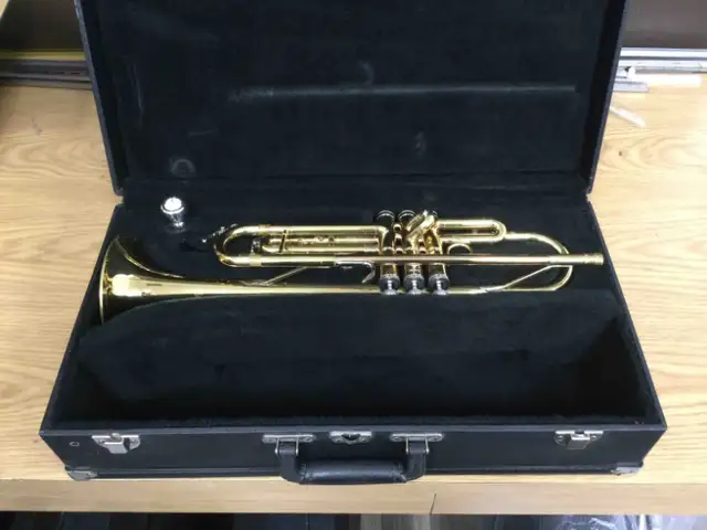 Trumpets for sale - updated in Brass in Trenton - Image 9