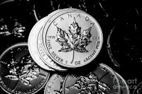 WE BUY SILVER MAPLE COINS